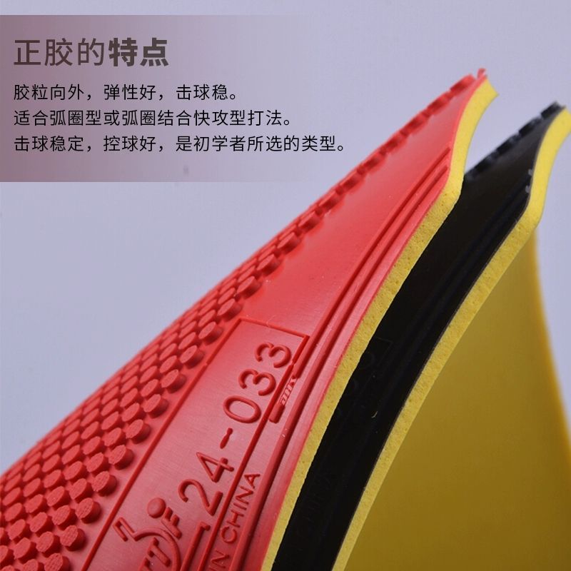 Original DHS Dragon Shadow Tab - đánh giá và giá Table Tennis Games