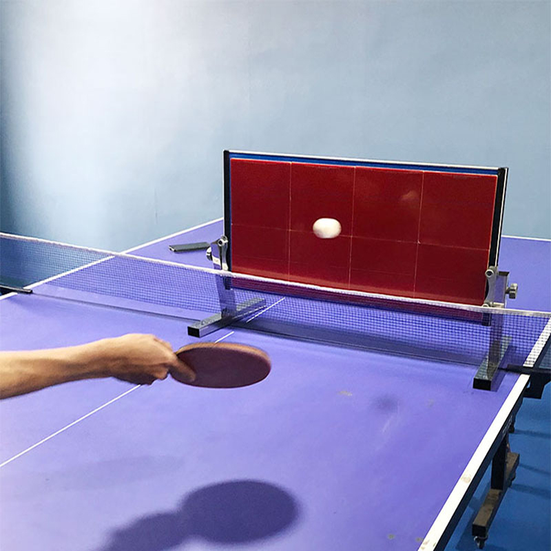 Home Table Tennis Rebound Boar - đánh giá và giá Table Tennis Eleven
